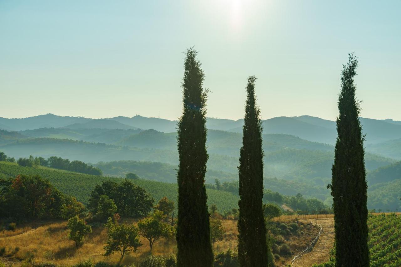 فيلا Celle Di Lecchi Nel Chianti San Sano المظهر الخارجي الصورة