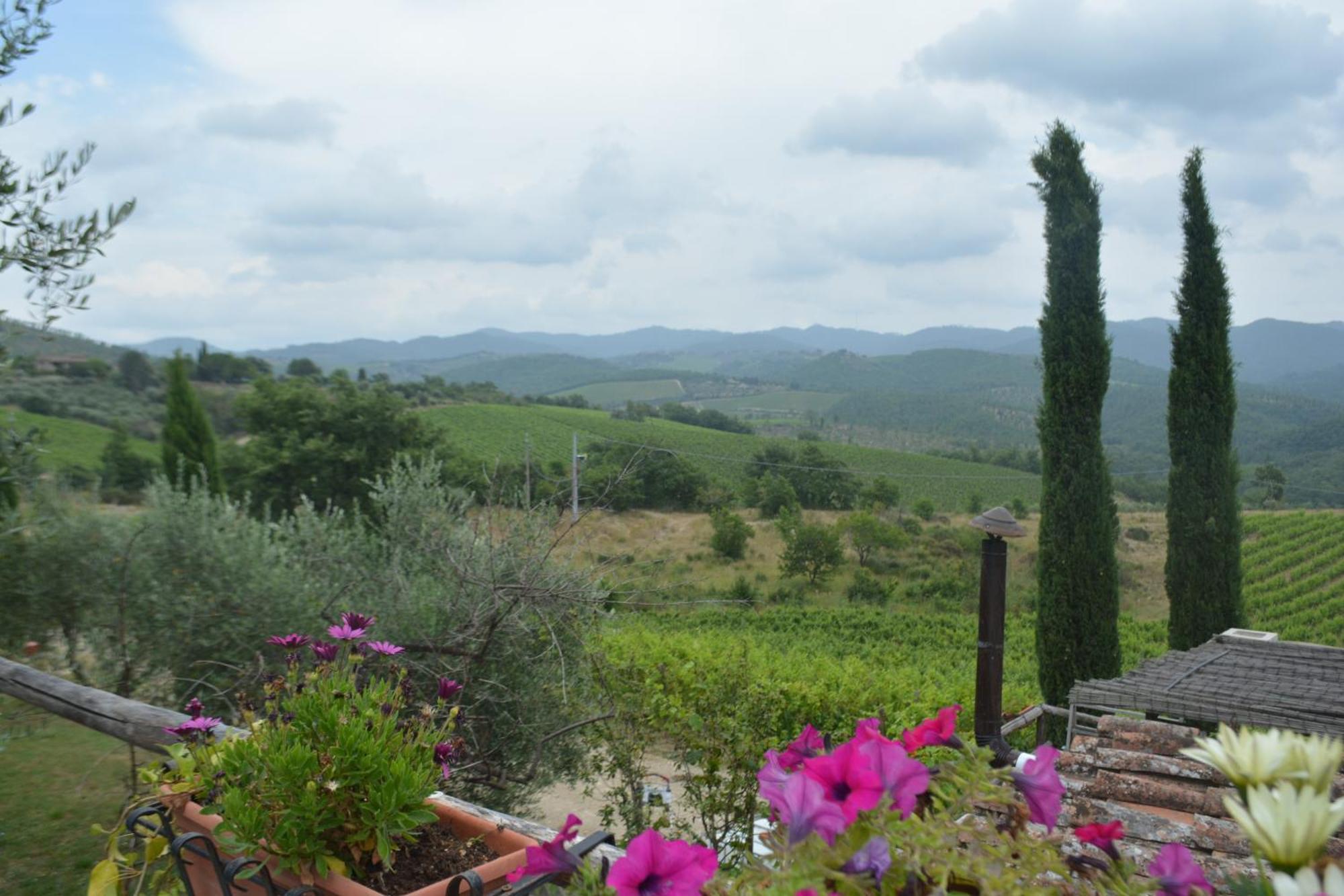 فيلا Celle Di Lecchi Nel Chianti San Sano المظهر الخارجي الصورة
