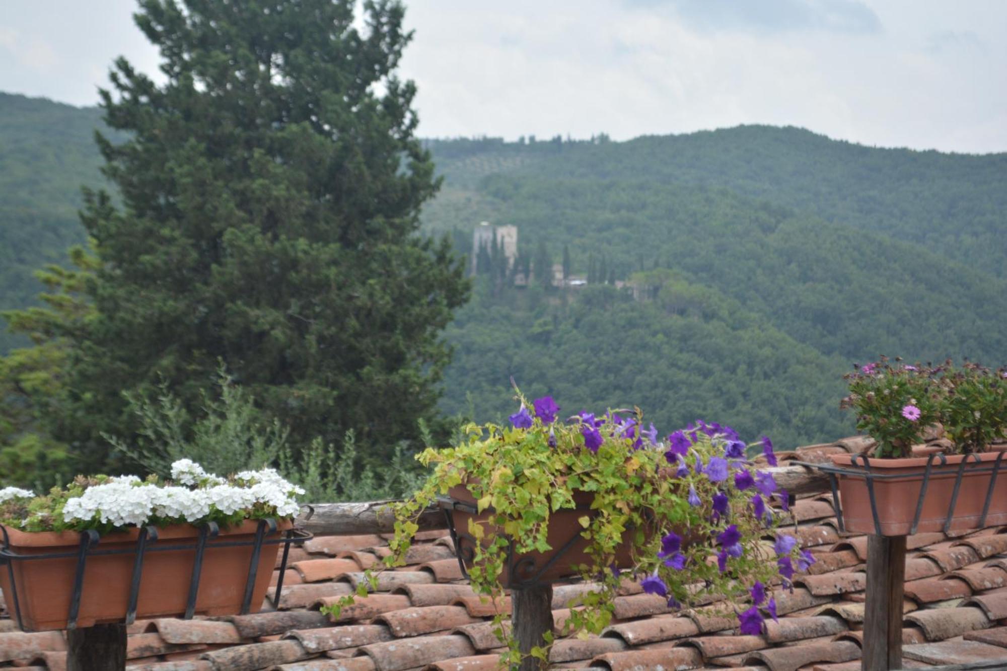 فيلا Celle Di Lecchi Nel Chianti San Sano المظهر الخارجي الصورة
