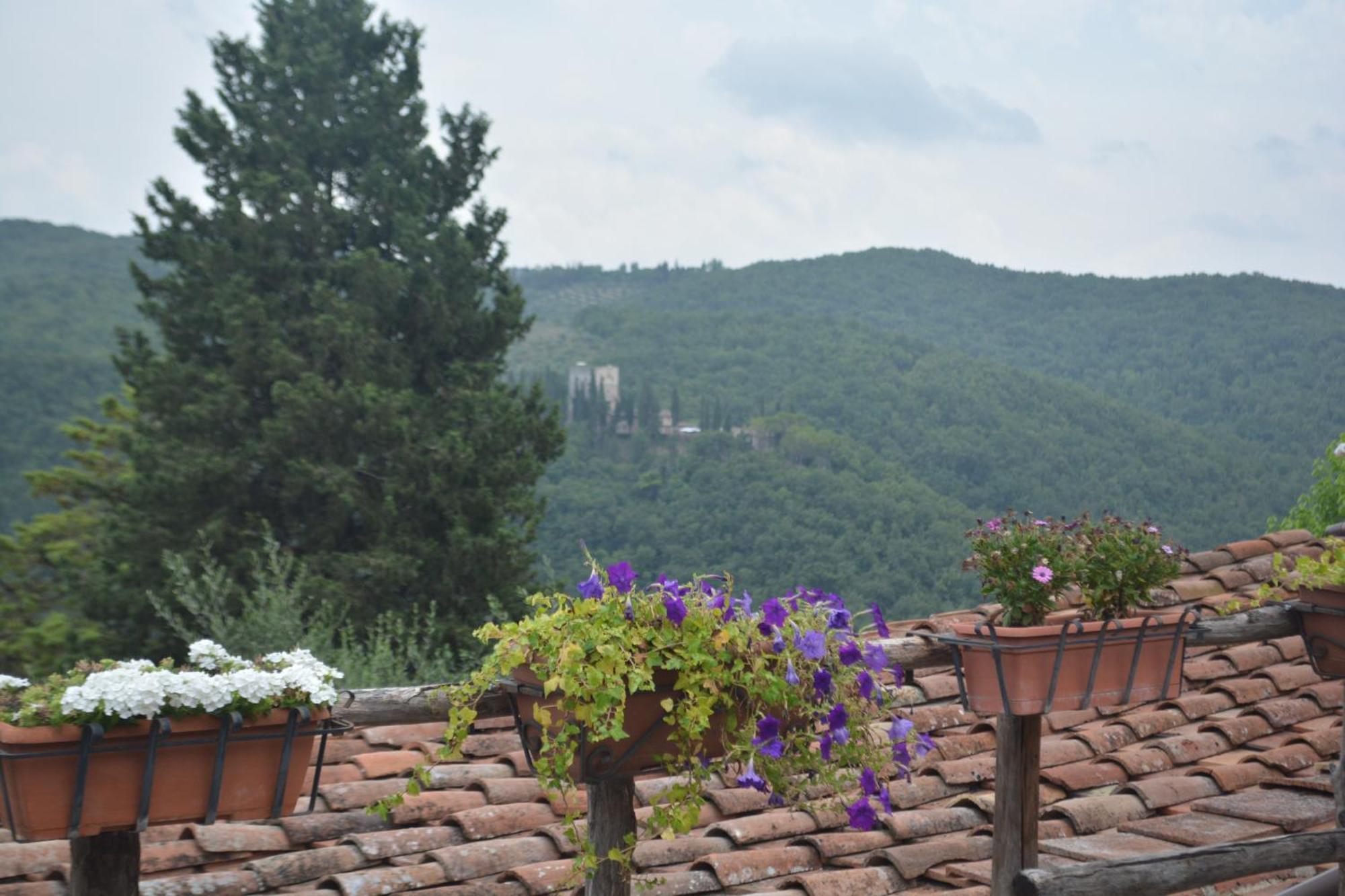 فيلا Celle Di Lecchi Nel Chianti San Sano المظهر الخارجي الصورة