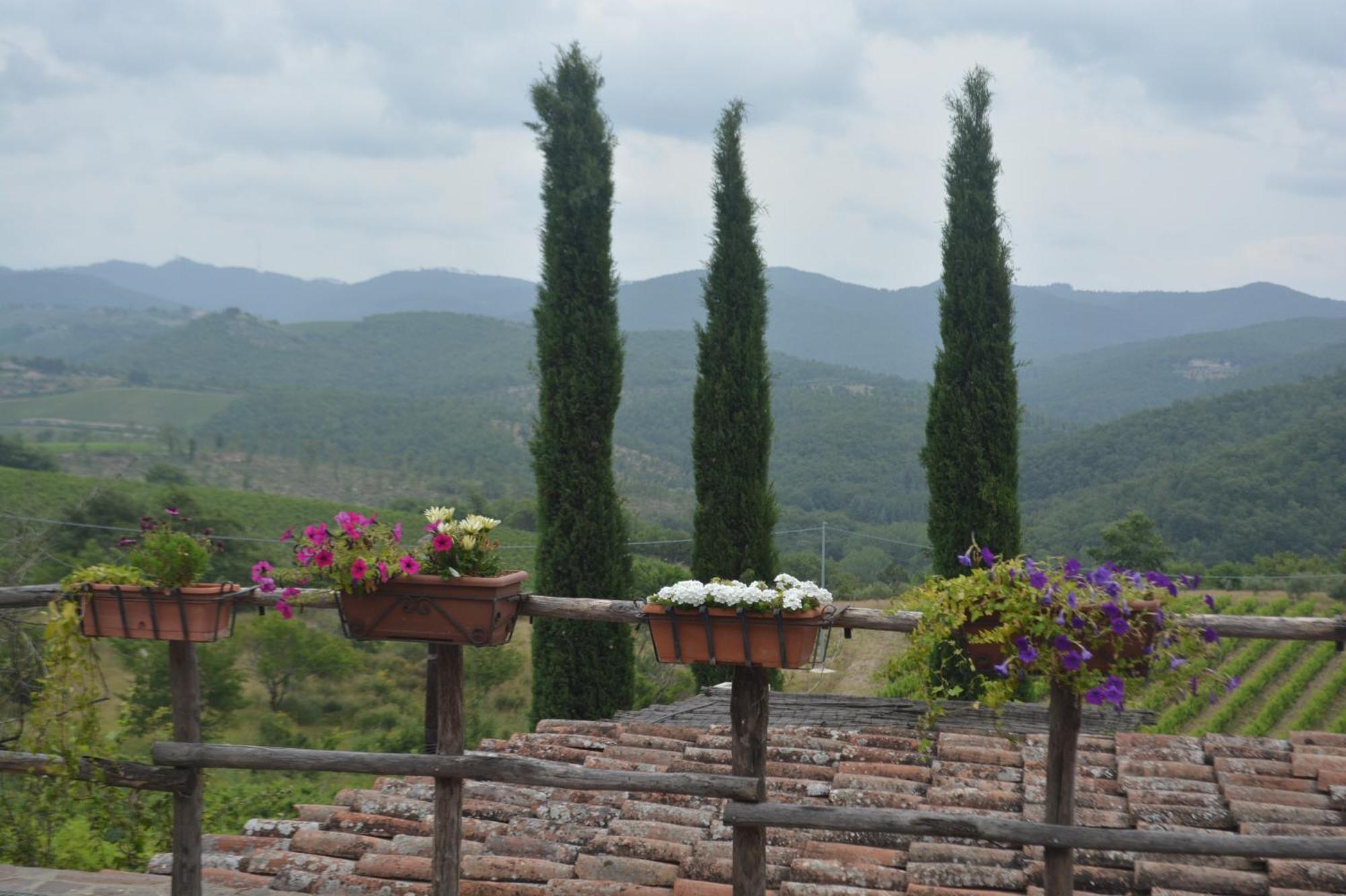 فيلا Celle Di Lecchi Nel Chianti San Sano المظهر الخارجي الصورة